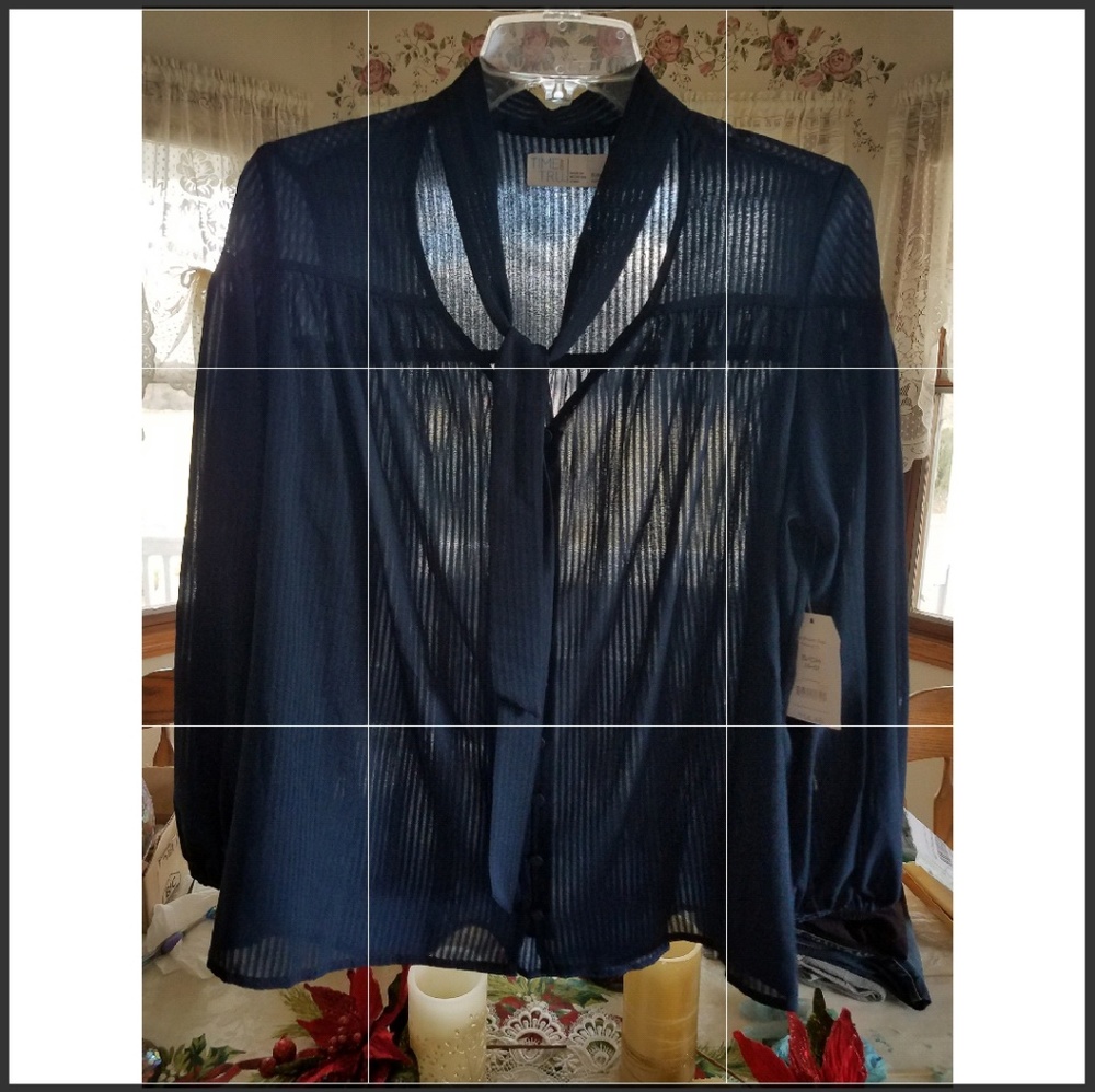 TOP Bundle W $25 ORDER SHEER BLUE Time & Tru BLOUSE S
